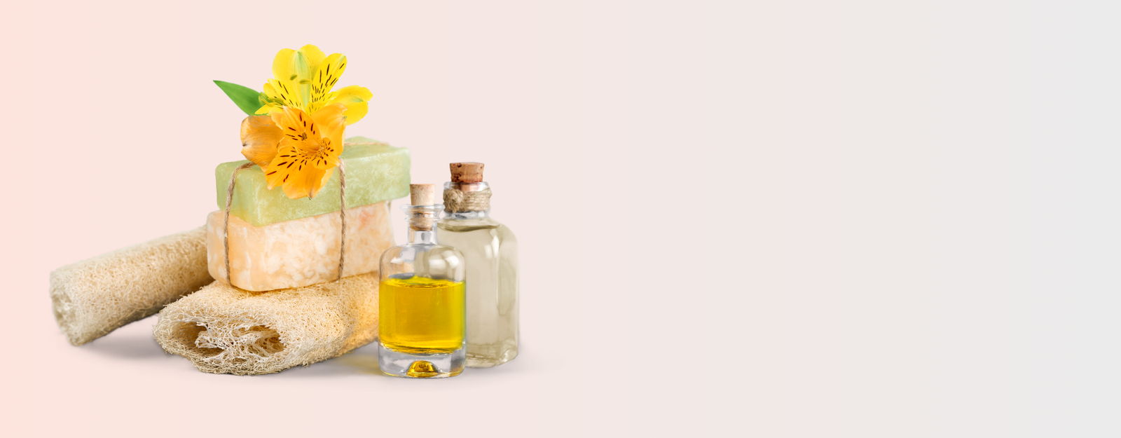 Ankha